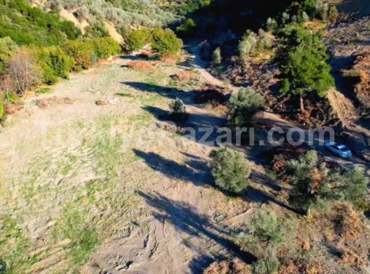 İzmir Güzelbahçe çamlı köyünde 270 m2 parseller