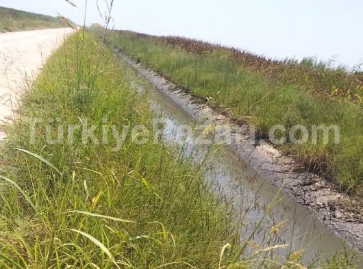 TARSUS AĞZIDELİK KÖY SINIRLARINDA 2700 KÖK MANDALİNA VE PORTAKAL EKİLİ SATILIK 45 DÖNÜM BAHÇE !