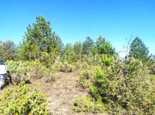 SAFRANBOLU TOPRAKCUMA KÖYÜNDE ÇAY KENARINDA 1112m2 SATILIK HOBİ BAHÇESİ