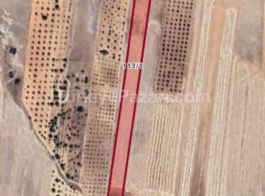 SATILIK YATIRIMLIK ARAZİ POYRAZ GAYRİMENKUL