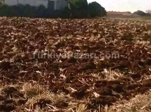 SÜPER KONUMDA KÖYÜN DİBİNDE MÜSTAKİL TEMİZ TAPU BURSA KARACABEY KEŞLİK MAHALLESİ 8.050m2 FIRSAT YER