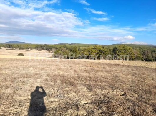 Burdur kemer elmacık köyünde 1933 m² kelepir fiyata arazi