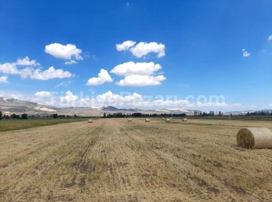 Her türlü devlet teşvik destek programına projeye uygundur 30250 m² (30 dönüm)