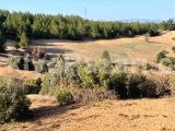 ACIPAYAM AKALAN'DA 22.114m² DÜZ ELEKTRİK GESE UYGUN EŞSİZ ARAZİ