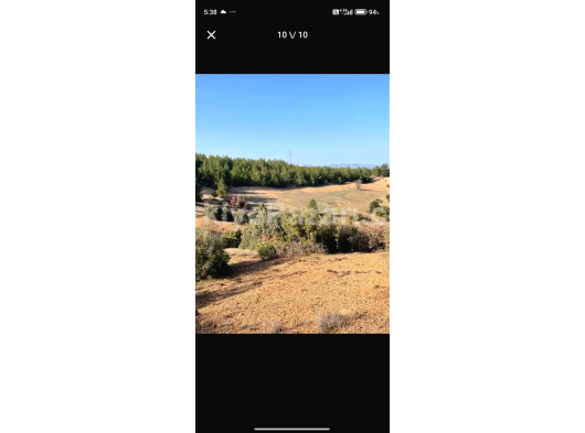 ACIPAYAM AKALAN'DA 22.114m² DÜZ ELEKTRİK GESE UYGUN EŞSİZ ARAZİ