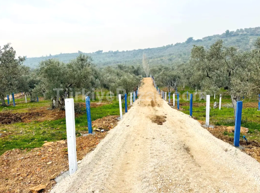 komi çalışma arkadaşları aranmaktadır
