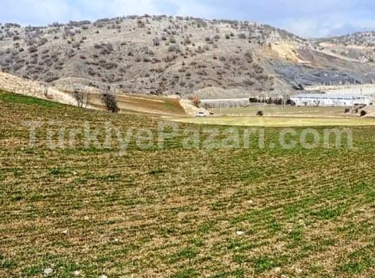 AKYURT KIZIK’DA 1000m2 BAHÇE YOLU MEVCUT