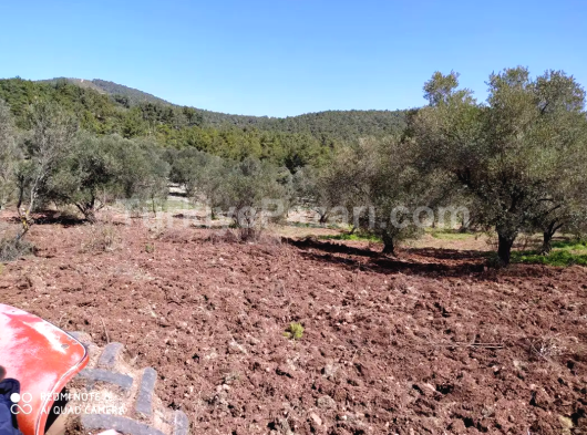 ÇOK ACİLL SATILIK ARSA 300m2