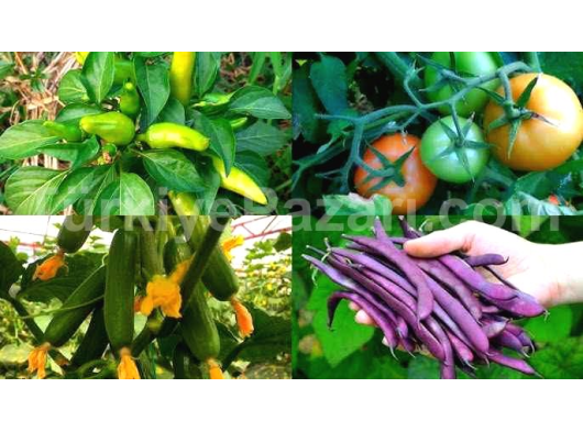 SİTE İÇİNDE SATILIK 3+1 LÜX YAPILI SATILIK DAİRE