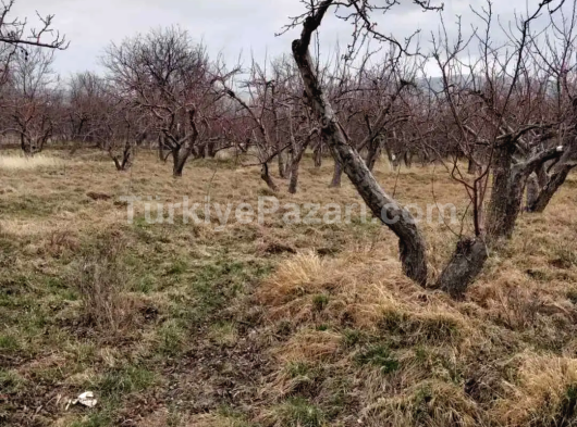 Satılık Bahce 1578m2 Niğde Merkez Gümüşdeler /Yeni Belediyesinde Umut Emlak dan