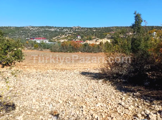 yatılı ev yardımcısı bayan eleman alınacaktır