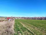 YAZIKÖY 15 TEMMUZ MAHALLESİNDE 0.25/0.50 VİLLA İMARLI 1/2 Sİ 950M2 OLAN HİSSEMİ SATİYORUM