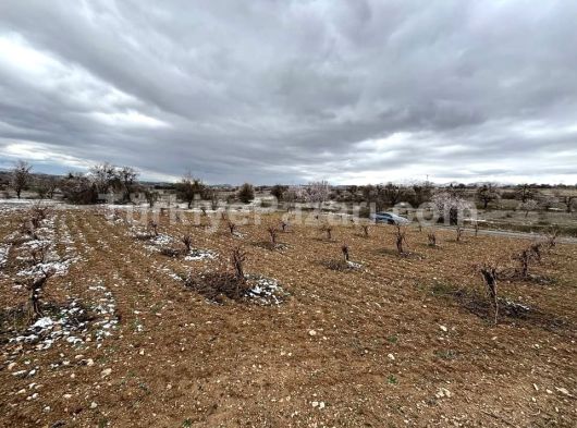 SAHİBİNDEN BU BAĞLA ARANIZDA GÖNÜL BAĞI KURACAKSINIZ DENİZLİ ÇAL AŞAĞI SEYİTTE PARSEL4171