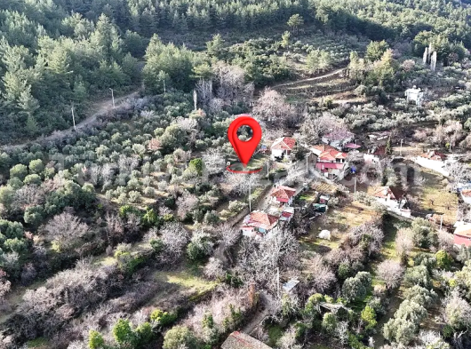 AYDIN/KARACASU BÜYÜKDAĞLI HOBİ BAHÇESİ