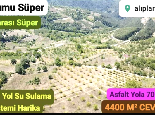 Doğa içinde müstakil bir yaşam