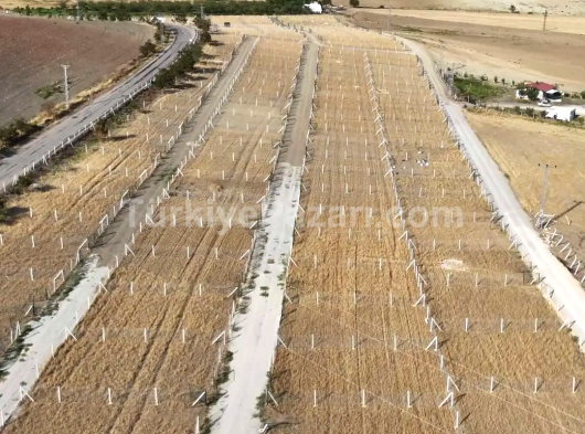 Genç Bakımlı Kons Dansçı bayan arkadaşlar aranıyor