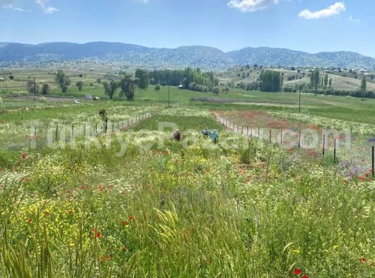 KİRALIK 2+1 DAİRE KÜLTÜR YEŞİLYURT MAH