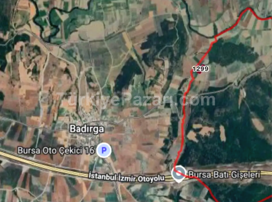 Bursa Nilüfer Çaylı Badırga imar sınırında satılık iki dönüm tek tapu tarla