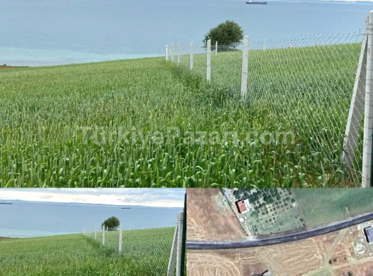 ALKAR EMLAKTAN ŞARKÖY KOCAALİDE DENİZ MANZARALI ARSA