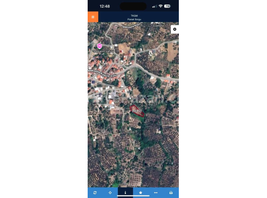 Bursa Mudanya İpek Yayla Köyün Dibinde Bursa Manzaralı Tek Tapu Satılık Zeytinlik.