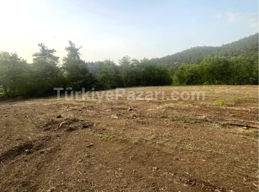 Bilecik osmanelide 5800 M2 İMARLI ARSA
