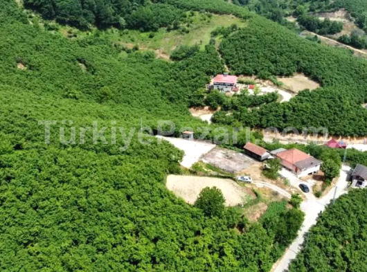 Sakarya Hendek kocatöngel köyünde %50 imarlı arsa