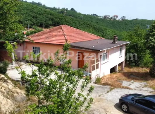 Sakarya Hendek kocatöngel köyünde %50 imarlı arsa