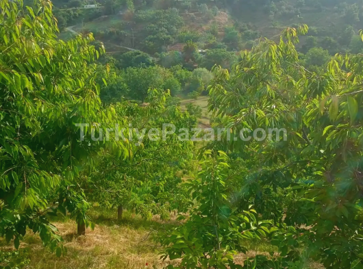 AYDIN/KARACASU BÜYÜKDAĞLI HOBİ BAHÇESİ