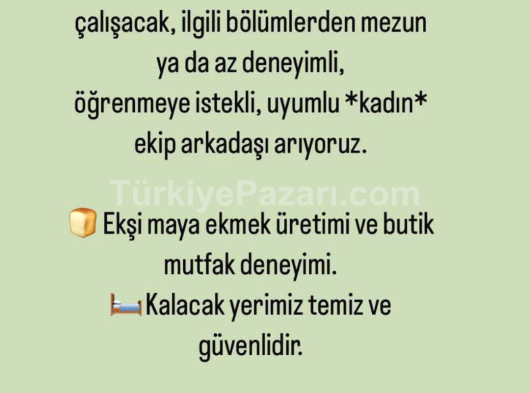 KUBA ÇİTA 100 R Gold