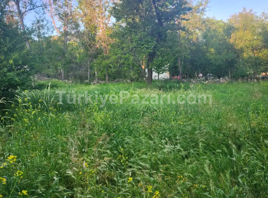 C.M GRUPTAN GESİ"DE DOĞA İLE İÇ İÇE FIRSAT BAHÇESİ