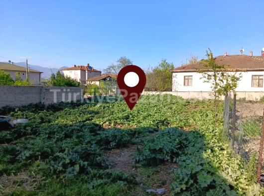 Doğa içinde müstakil bir yaşam