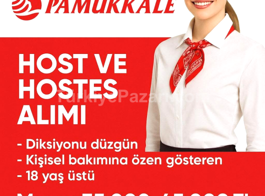 Sizde kabin memuru olabilirsiniz!