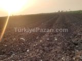 TARSUS YENİCE SINIRLARI İÇERİSİNDE SOĞUK HAVA DEPOSUNA UYGUN SATILIK 13 DÖNÜM!