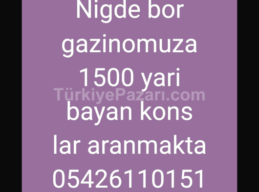 Antalyada iç dis cephe boya isleriniz yapilir