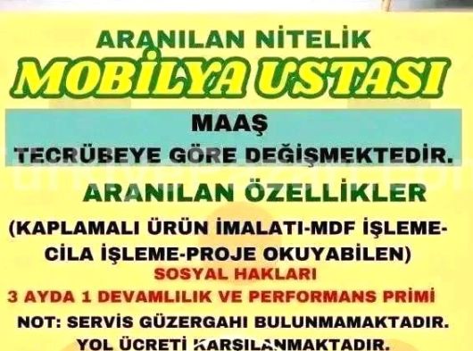 Mobilya Ustası Aranıyor