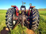 ÇOK TEMİZ 398 MASSEY FERGUSON