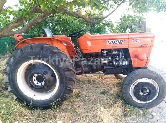 Full orjinal italyan aygırı