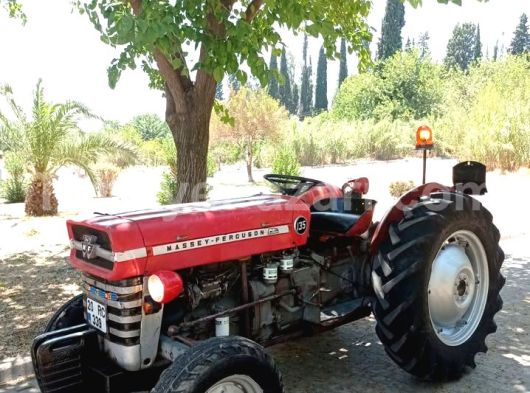 KUBA ÇİTA 100 R Gold