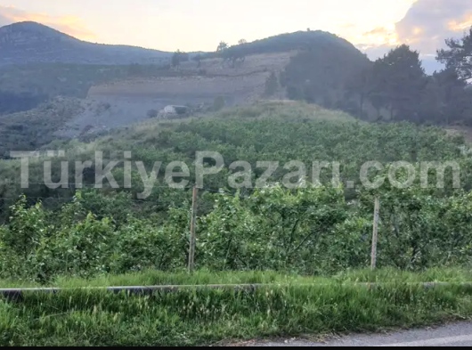 MERSİN’İN GİRİŞİNDE – GELECEĞİN PARLAYAN YILDIZI! TEK TAPU ARAZİ-DEPO ŞANTİYE