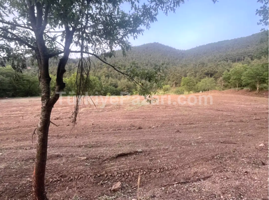 Bilecik OSMANELİ Dereyörük imarlı 5800 m2