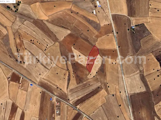 ASLAN EMLAK'TAN SATILIK PORSUK KÖYÜNDE TARLA