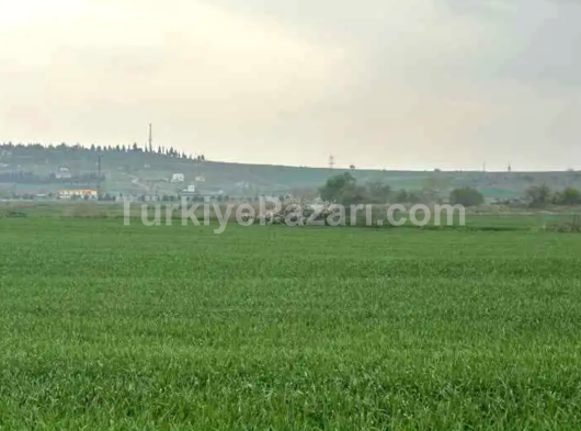 Sahibinden satılık müstakil tapulu arsa