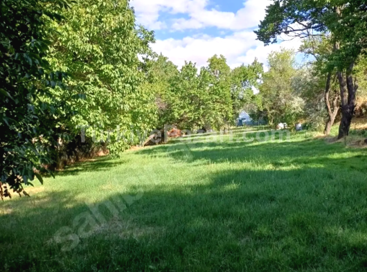 C.M GRUPTAN GESİ"DE DOĞA İLE İÇ İÇE FIRSAT BAHÇESİ