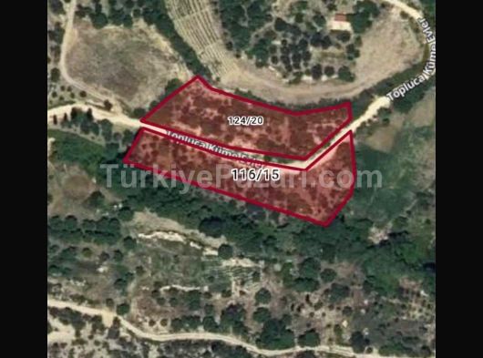 ACELE PROJELERİMİZE BAY - BAYAN VASIFSIZ DENETİM VE GÖZETİM ELEMANI ALINACAKTIR