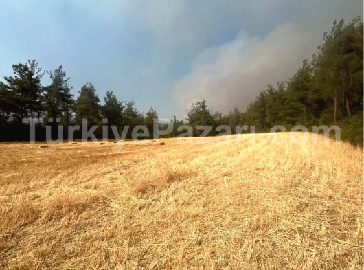 Bilecik OSMANELİ Dereyörük imarlı 5800 m2