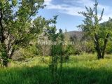 TURASAN EMLAK'TAN | YAYLALIK 475.05m² VİLLALIK ARSA 