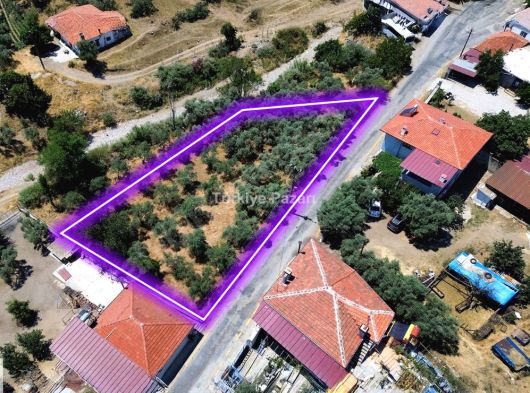 Köy İçi İmarlı 850m2 tapulu Zeytinlik