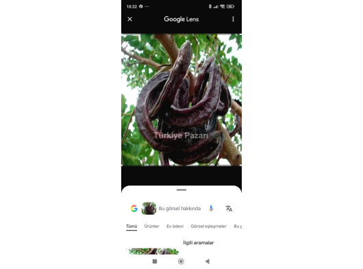 Acil satılık endüstriyel makine yağı sıfır açılmamış kutu 1 adet