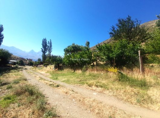 TURASAN EMALK'TAN | ELEKTRİK , SU ABONELİĞİ VE MEYVE AĞAÇLARI BULUNAN ARSAMIZ SATILIKTIR 