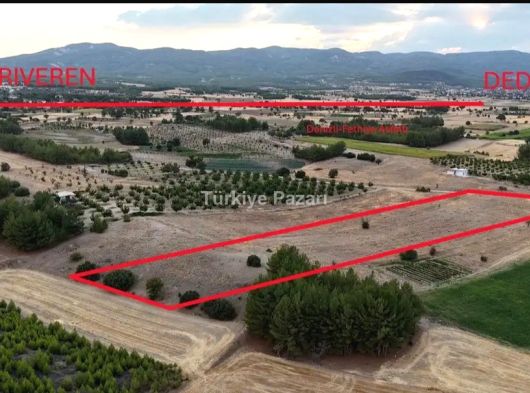 DENİZLİ ACIPAYAM DARIVERENDE 8.5 DEKAR TARLA İSTER ÇİFTLİK YAP İSTER CEVİZ DİK. KÖYE 700METRE